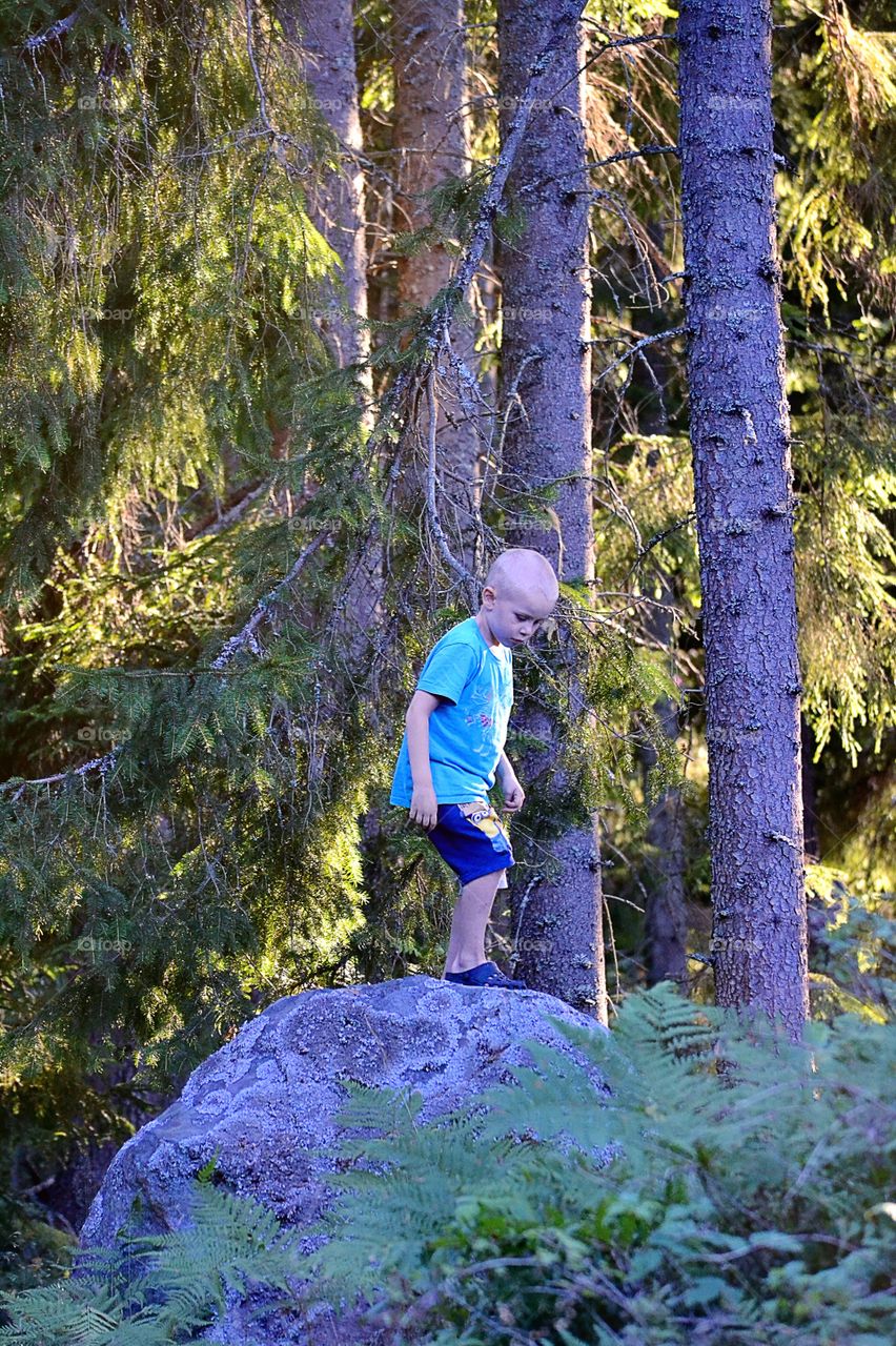 Boy standing on boulder in the forest