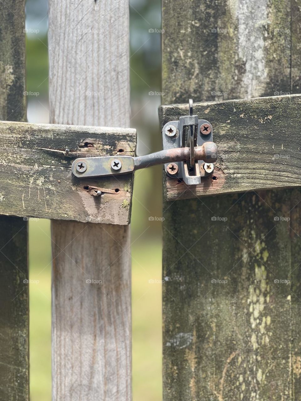 Aging, Old Rusty lock on a old beat up fence