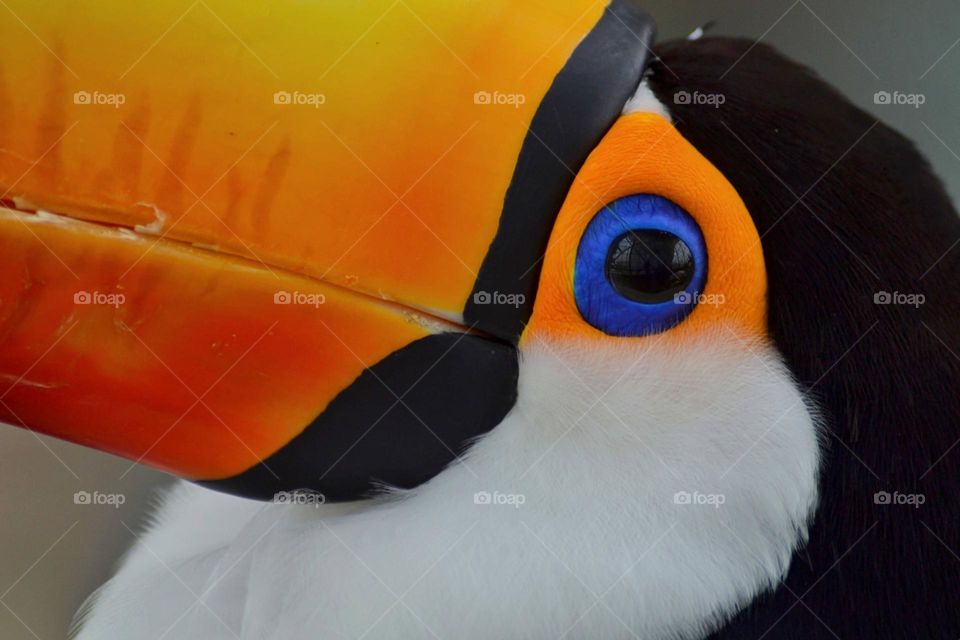 Window into the soul