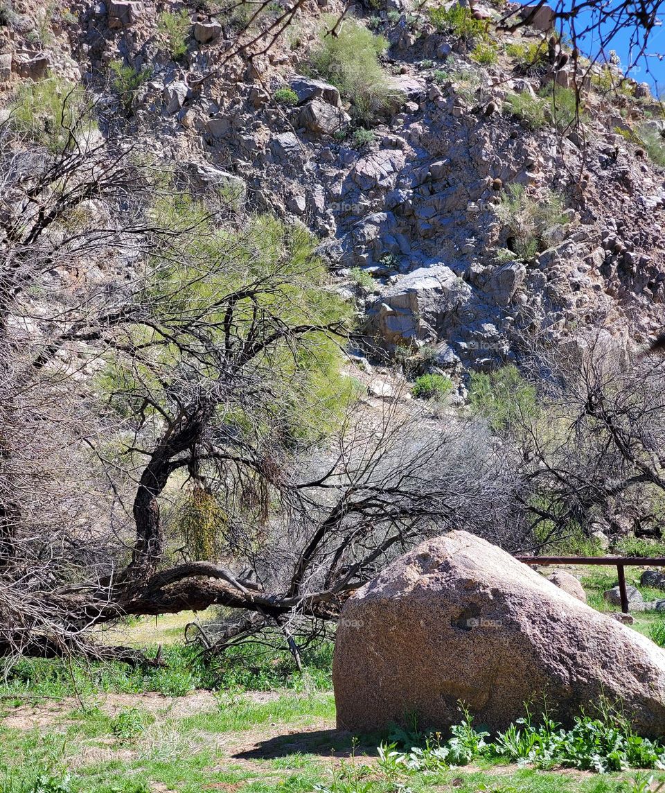 Boulder From a Desert Rockslide