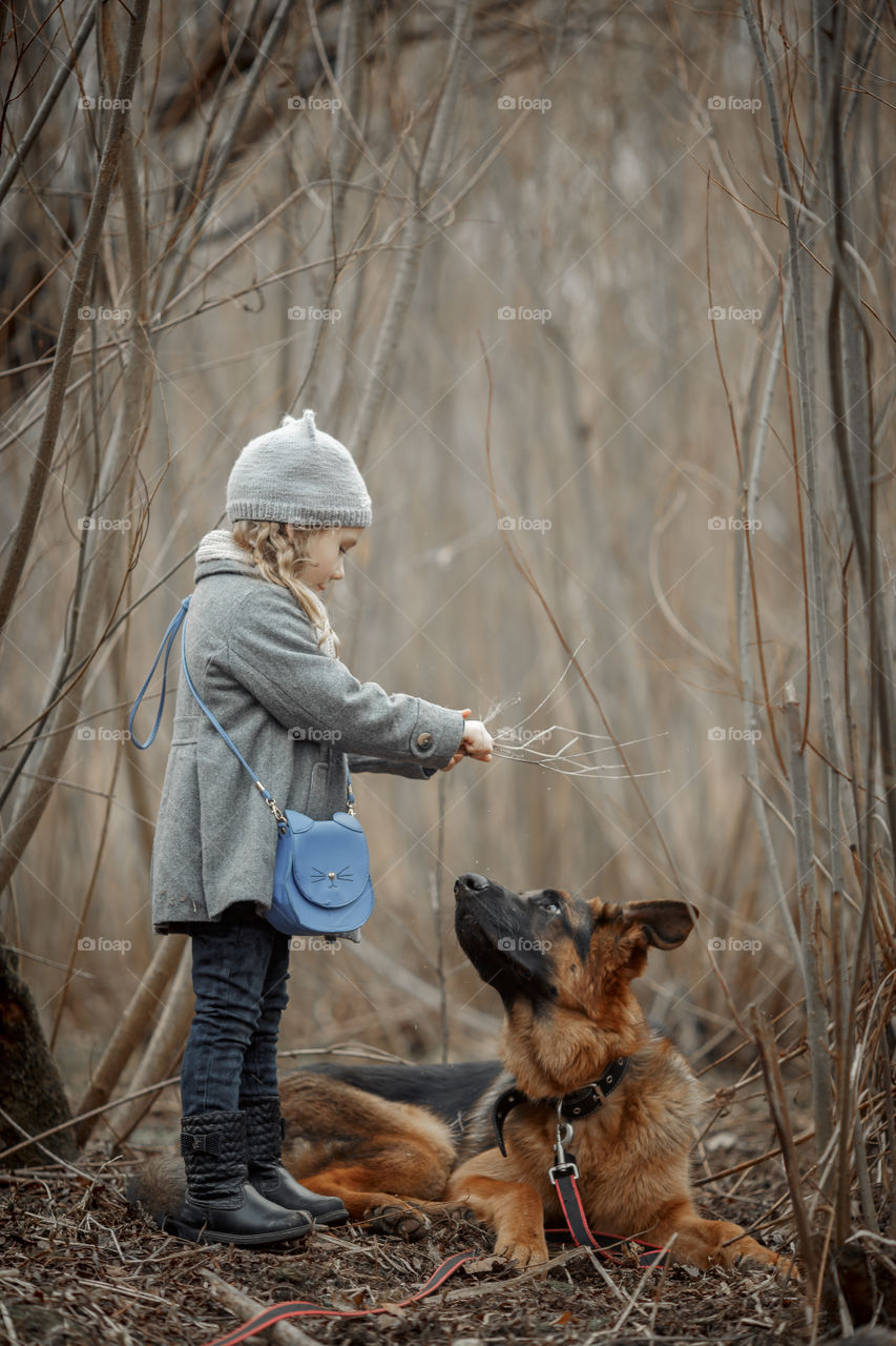 Little girl with German shepherd young male dog walking outdoor at spring day