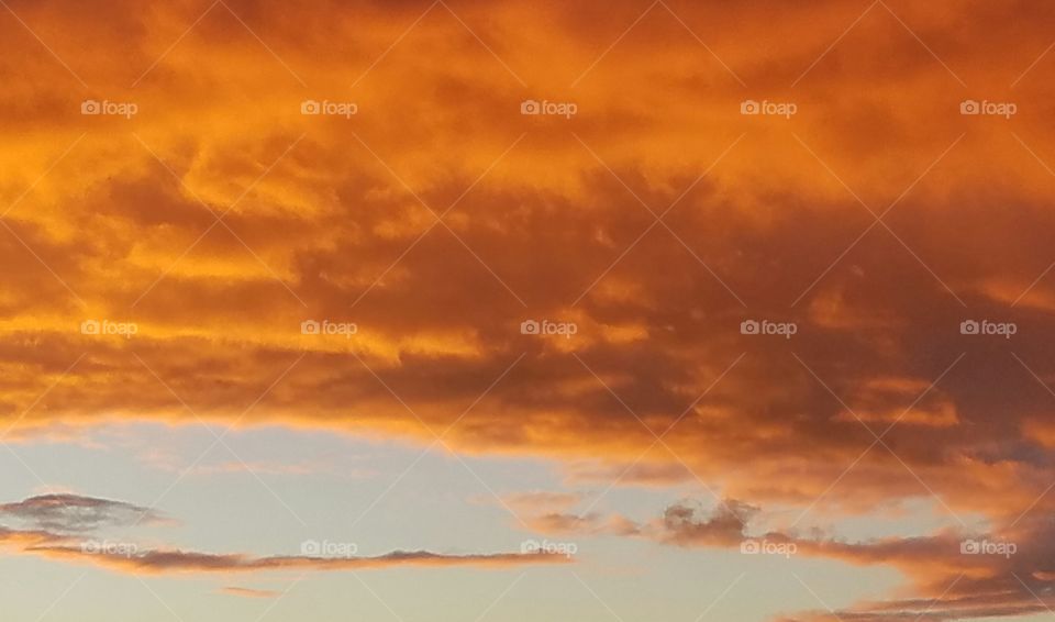 Orange Sky