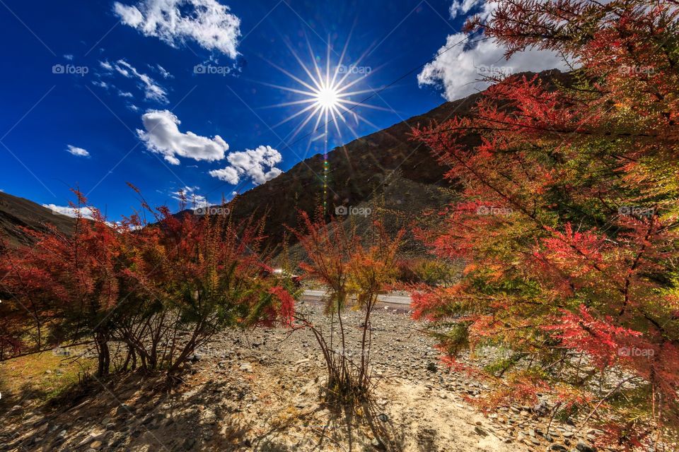 Ladakh ("land of high passes") is a region in the Indian state of Jammu and Kashmir and is renowned for it's remote mountain beauty and culture.