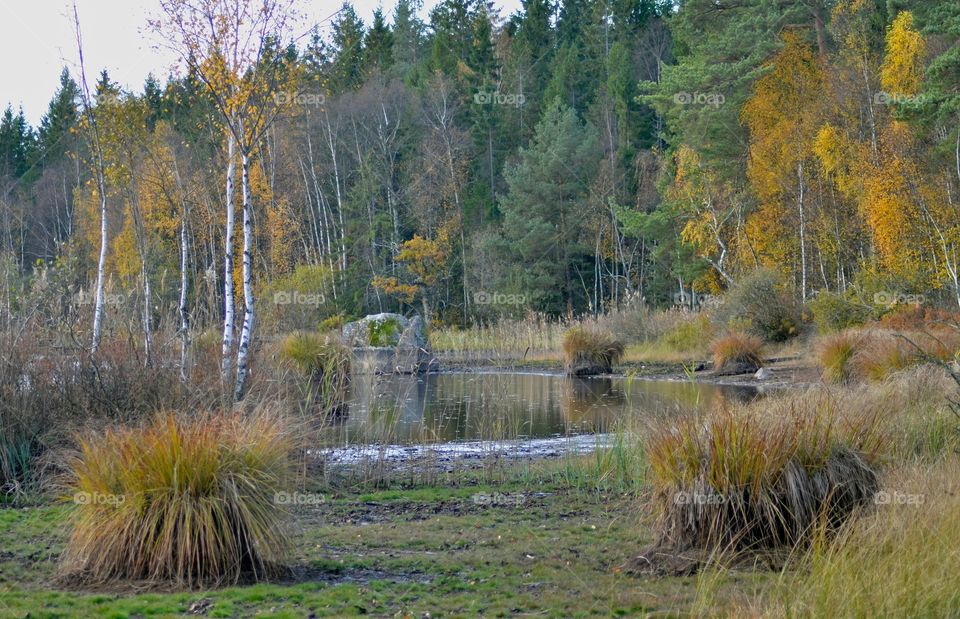 Listersjöarna, Ronneby sweden