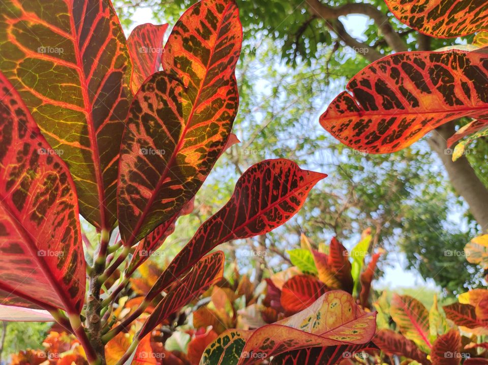 Part of beautiful nature around the corner