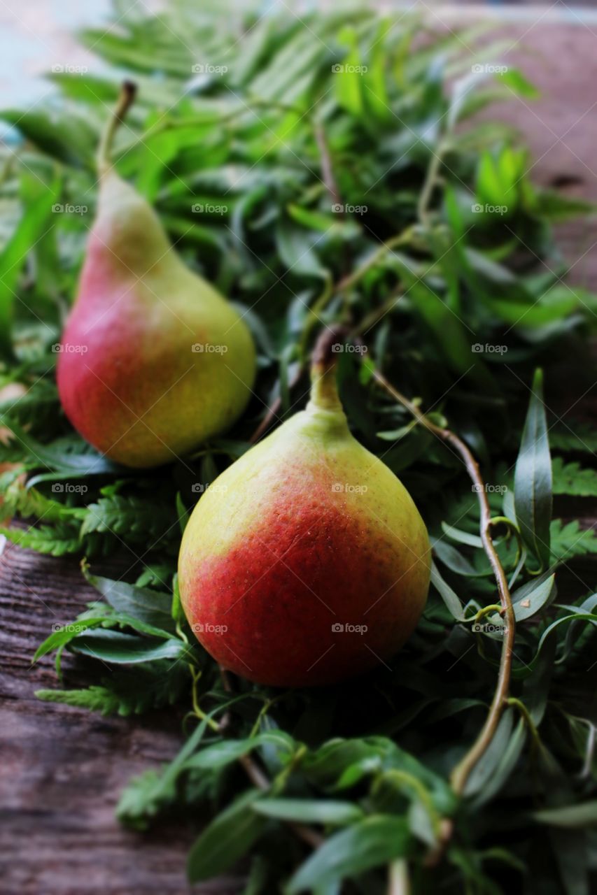 pears in colour