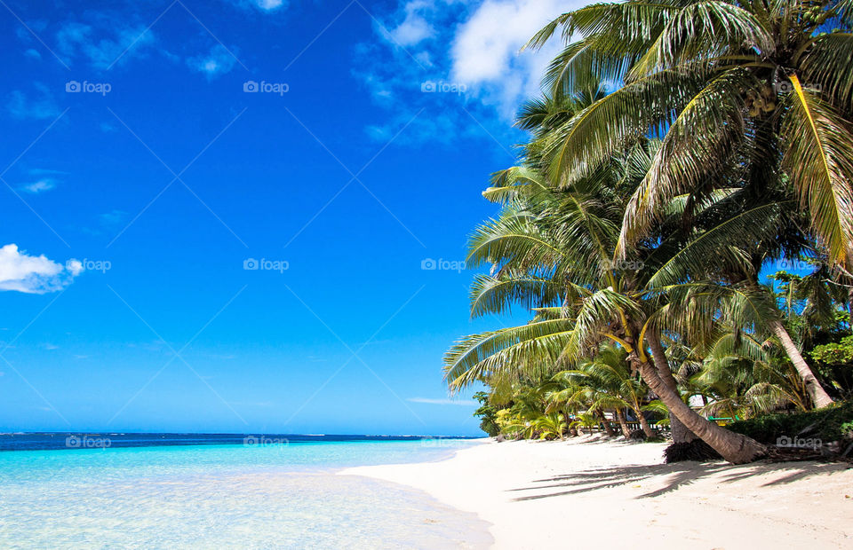 Travel around the world