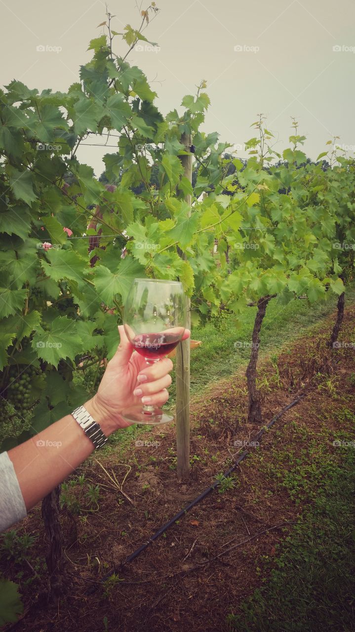 Close-up of hand holding wineglass