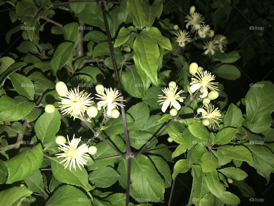 Природа Сочи