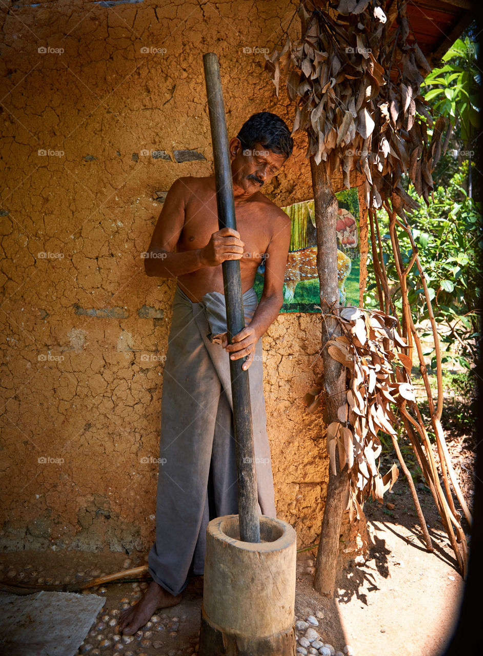 Farmer crushes down the bark in the production of cinnamon