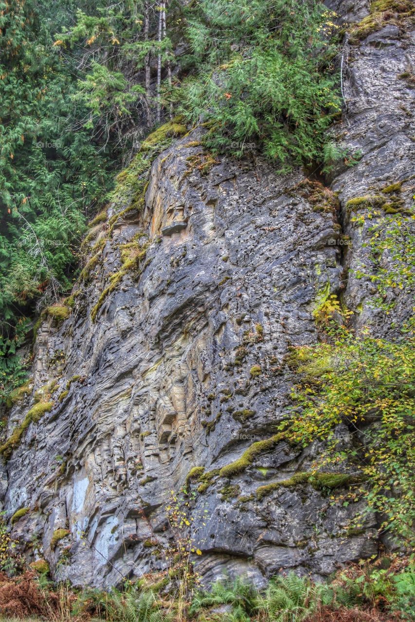 Wet mountain rock with moss