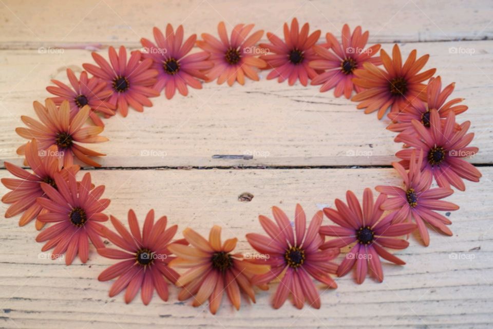 Flower Crown - Orange Daisy