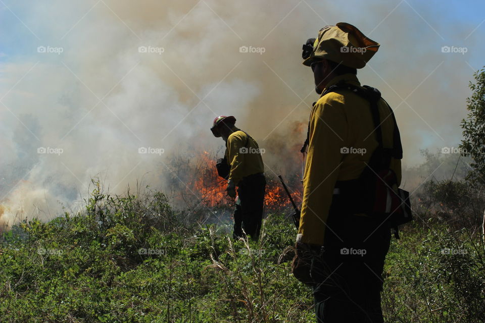 Prescribed burn to protect against forest fires 