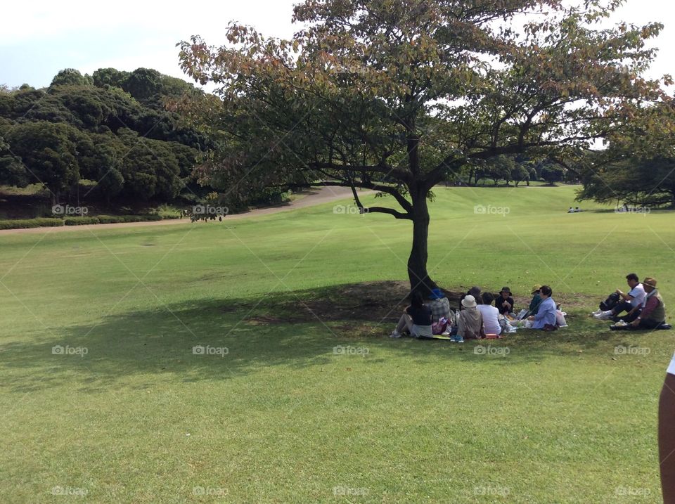 Group outing at Neigeshi Park in Yokohama Japan
