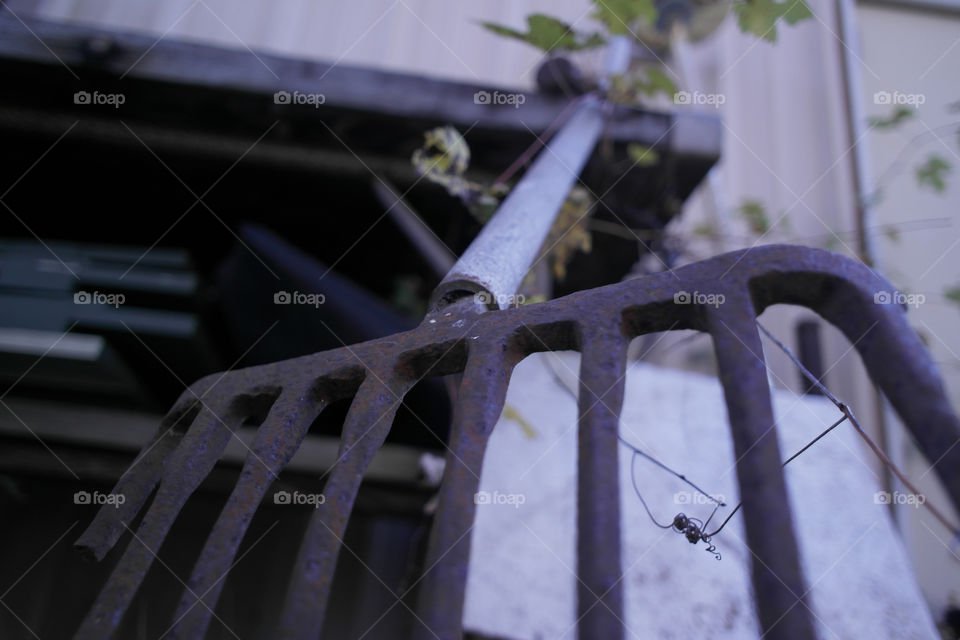 Rusted pitch fork Fairhope Alabama 