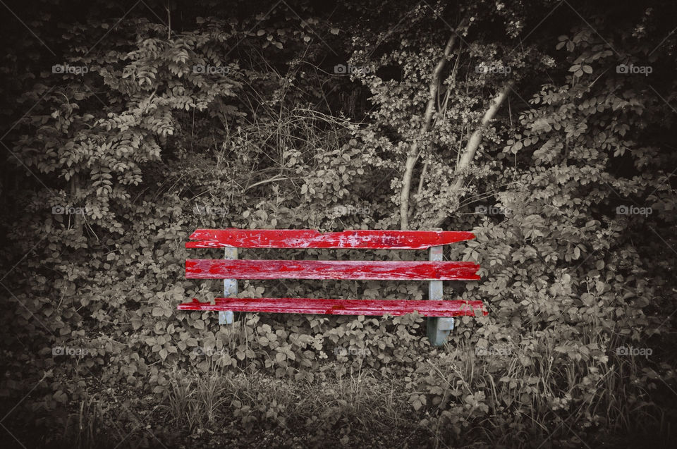 Bench