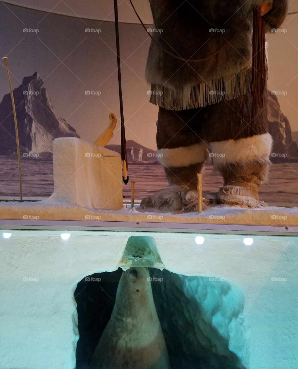 Eskimo hunting for seal