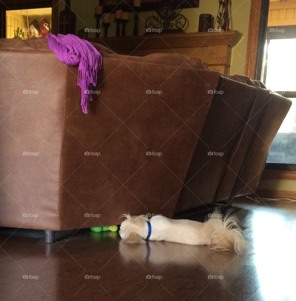 Barney struggling to reach Toy