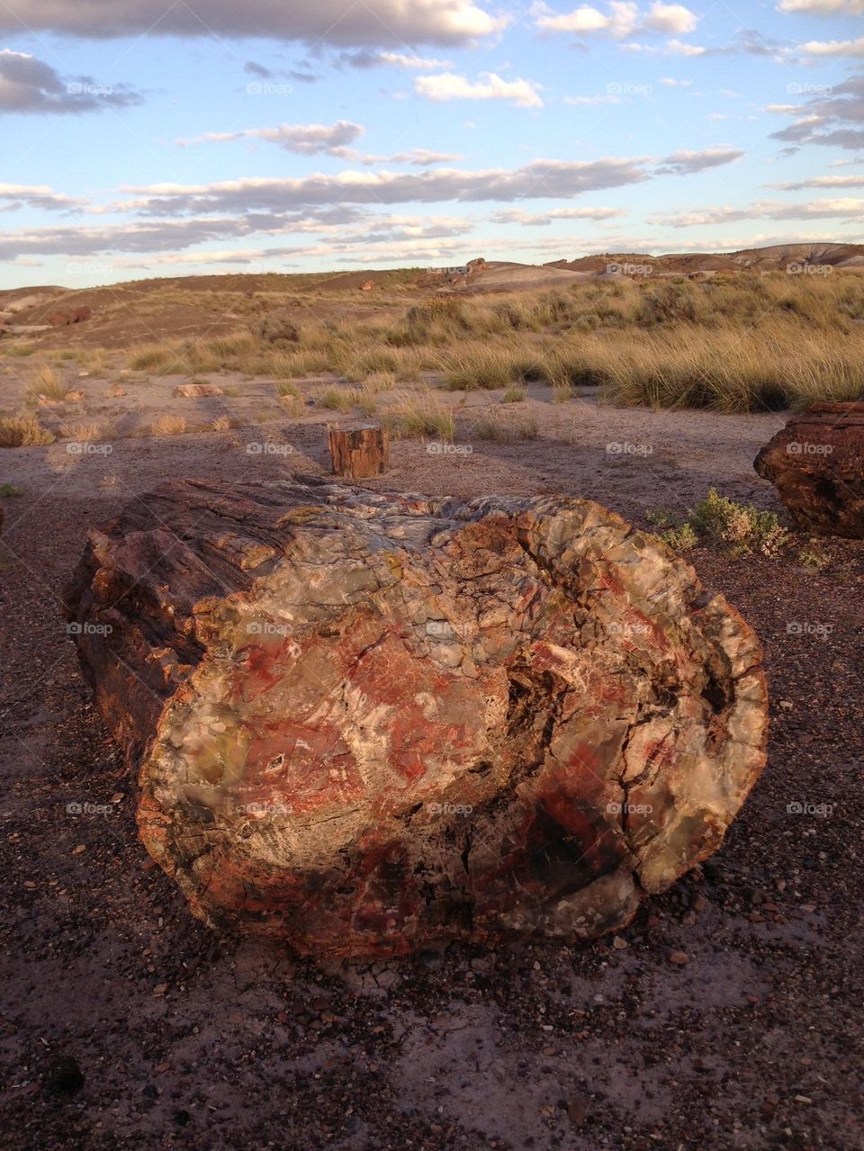 states route66 by babie