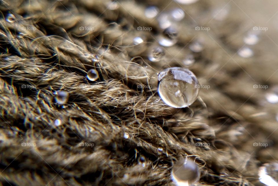 water drops on wool