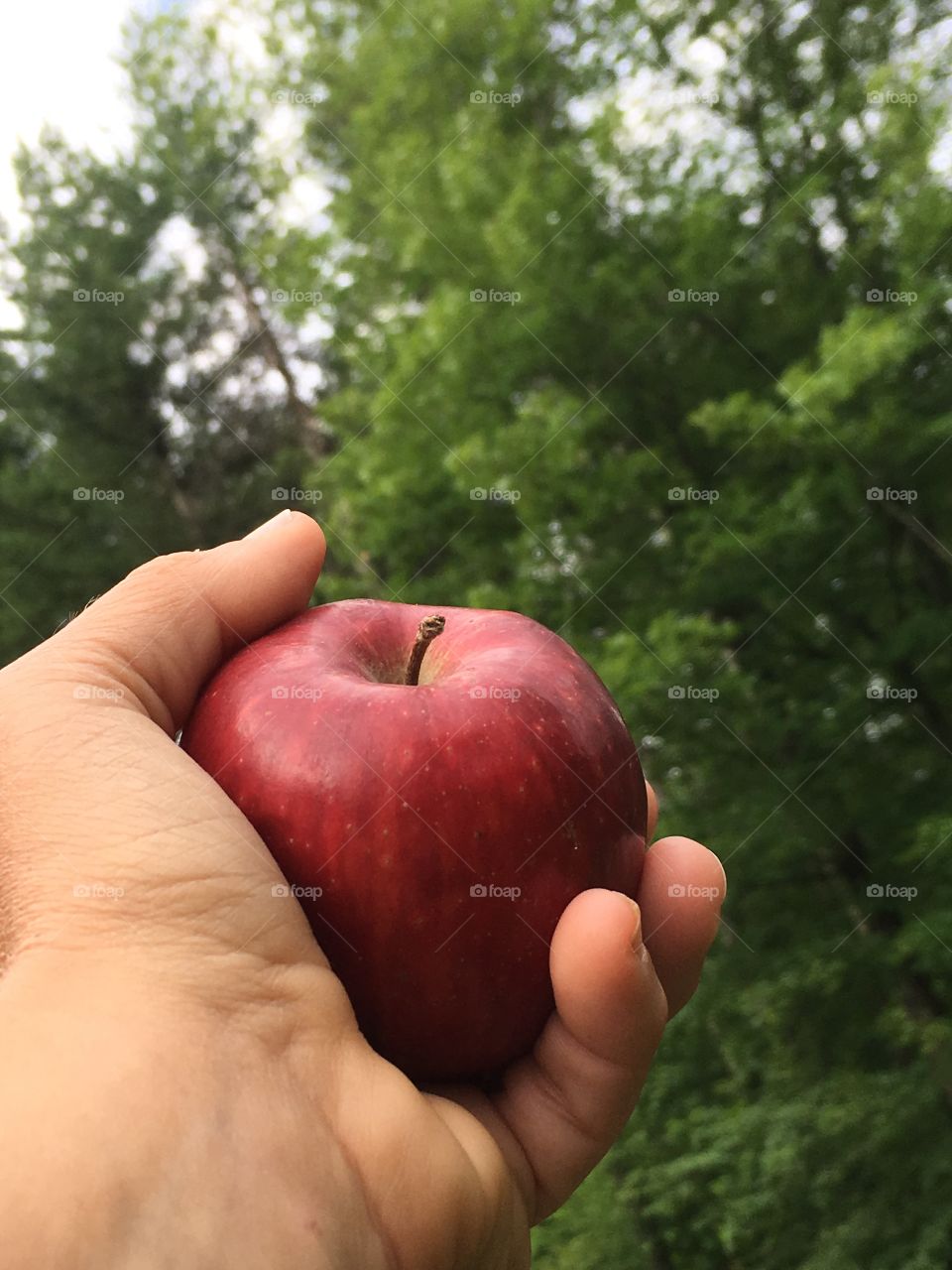 Apple a day keeps the doctor away 