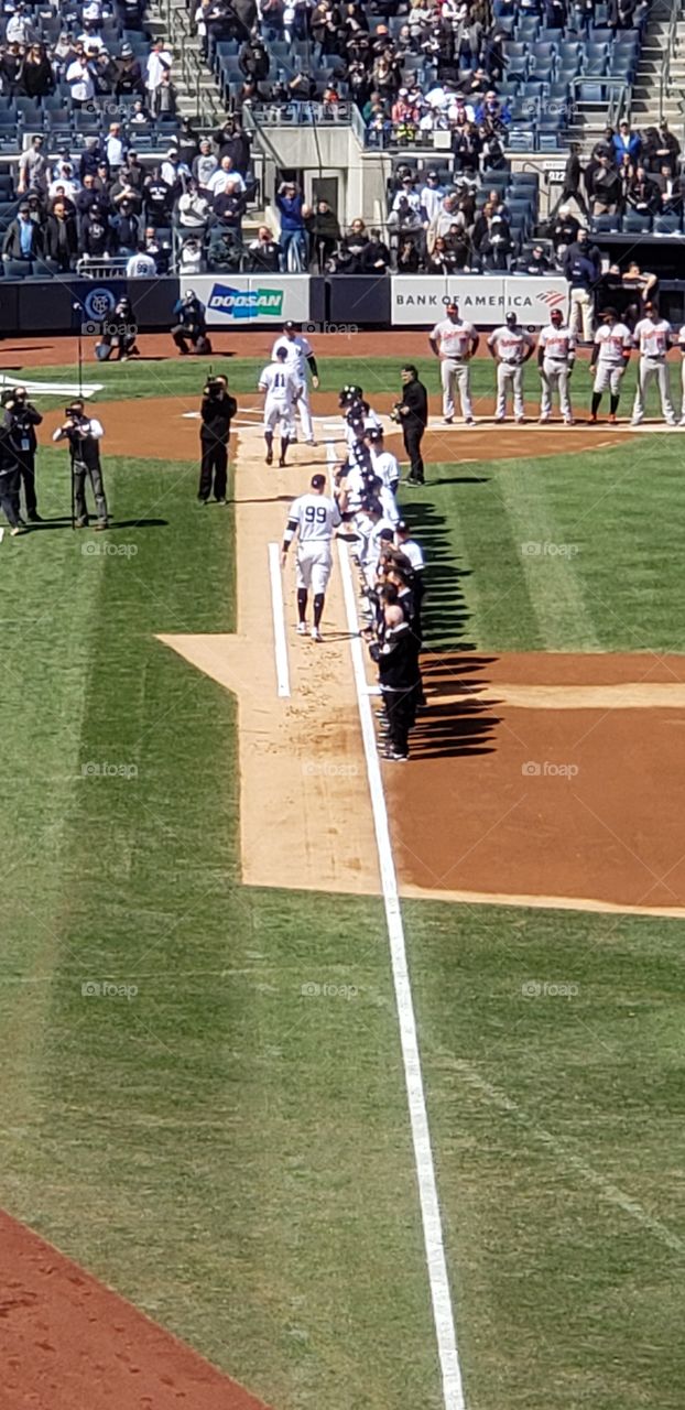 The New York Yankees