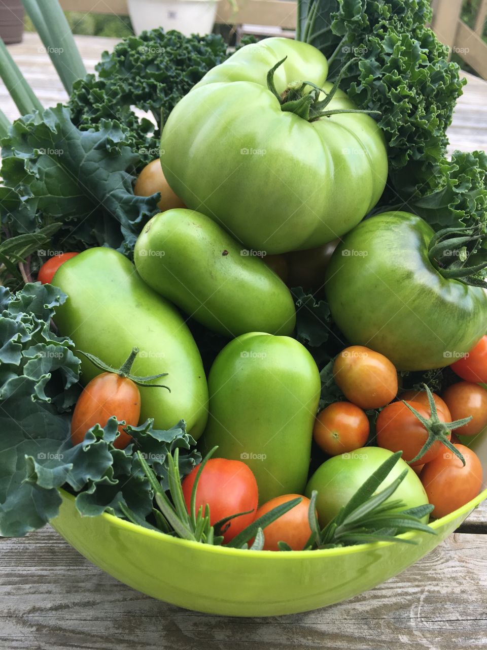 Vegetable harvest 