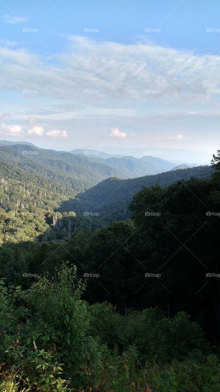 Landscape, Mountain, No Person, Nature, Wood