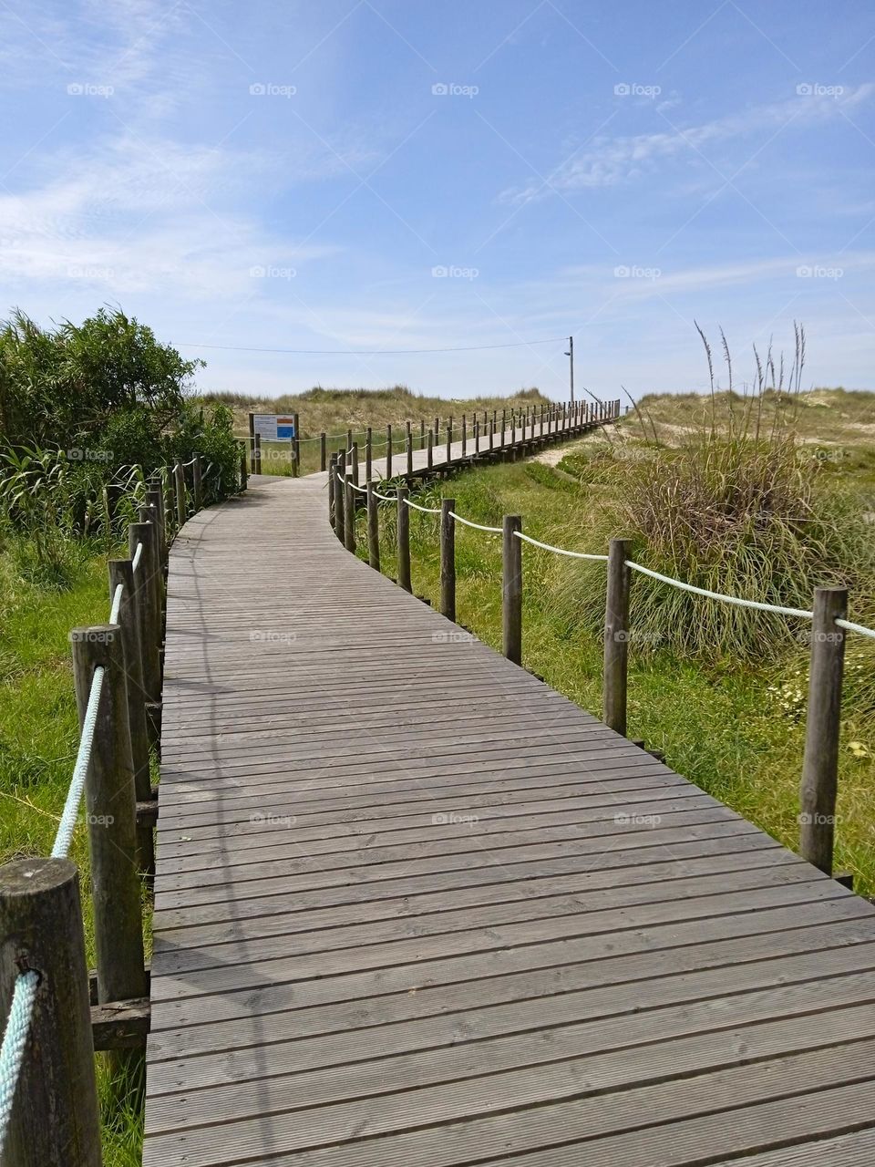 path to the beach