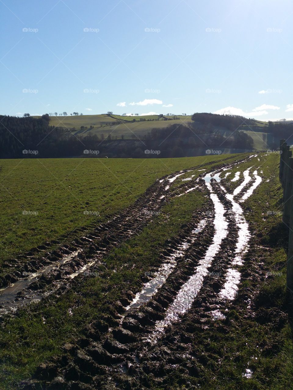 Muddy tracks on a field