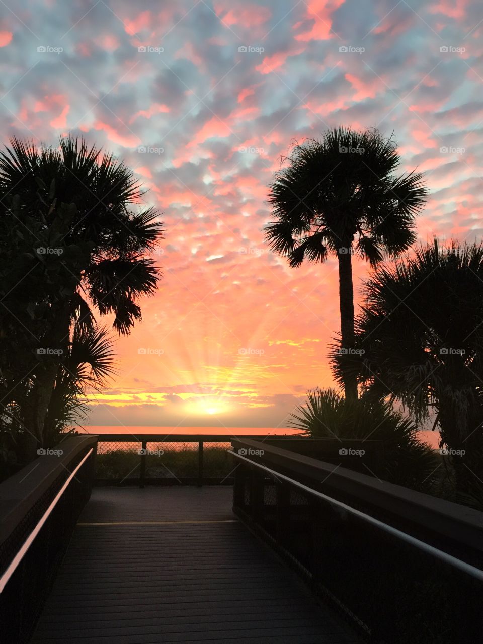 A glowing golden sunset at the end of a tropical beach boardwalk.