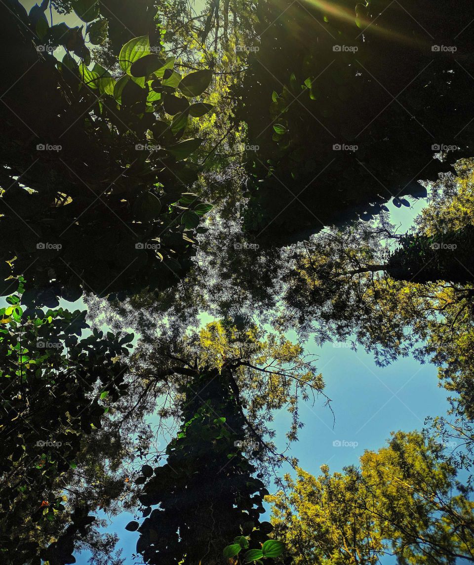 Refreshment 🌱❤️