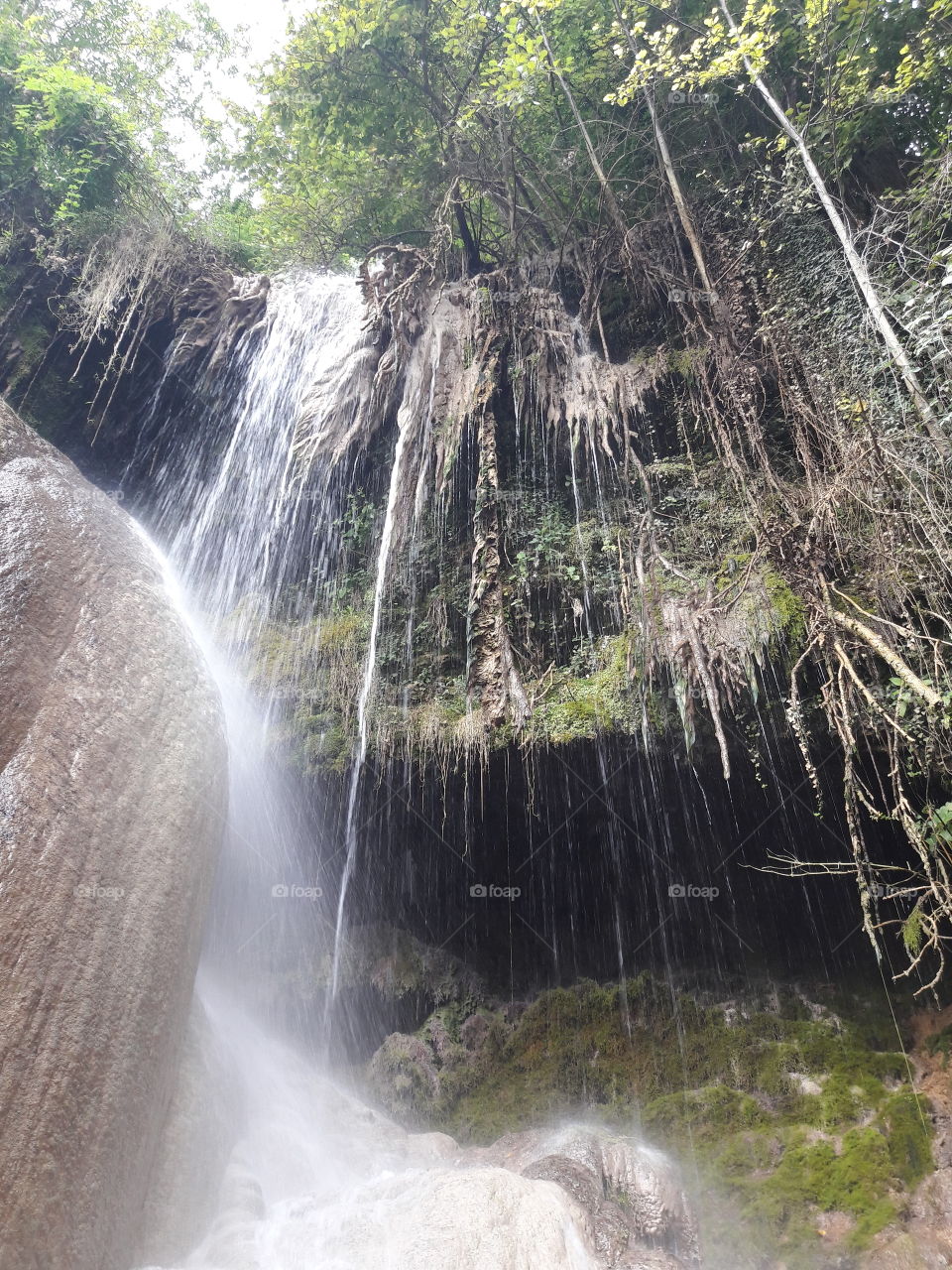 Waterfall, Water, Nature, Wood, River
