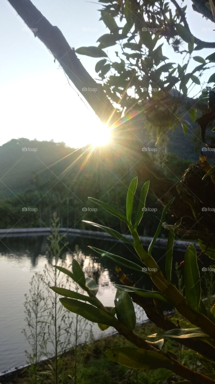 PRIRODA, IZLAZNO SUNCE, ČISTO NEBO, PREDELO.