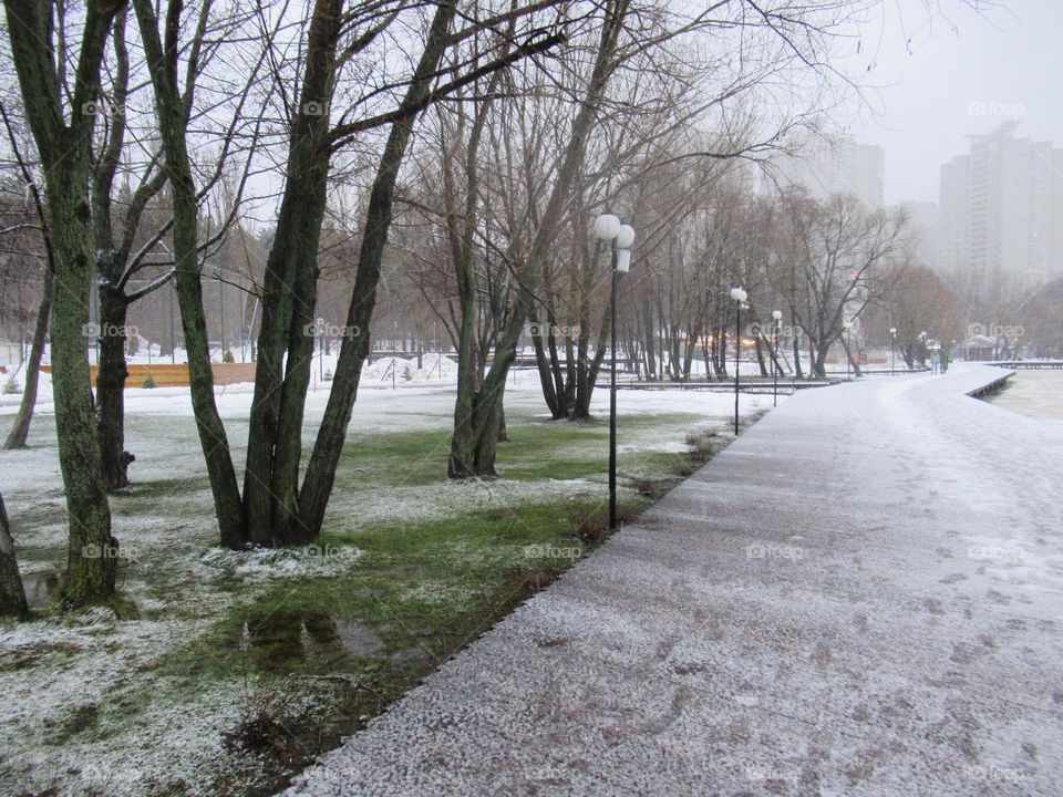 winter, December, snow and rain, fog, slush, frost, park walk, rest,