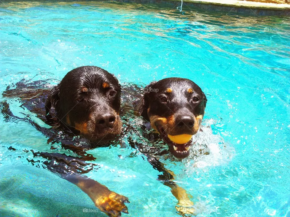 summer fun