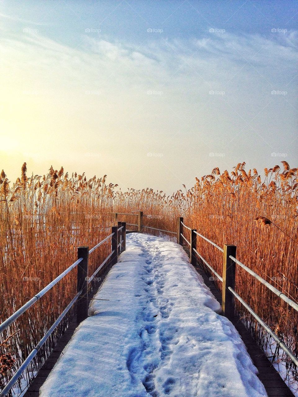 View of boardwalk during winter