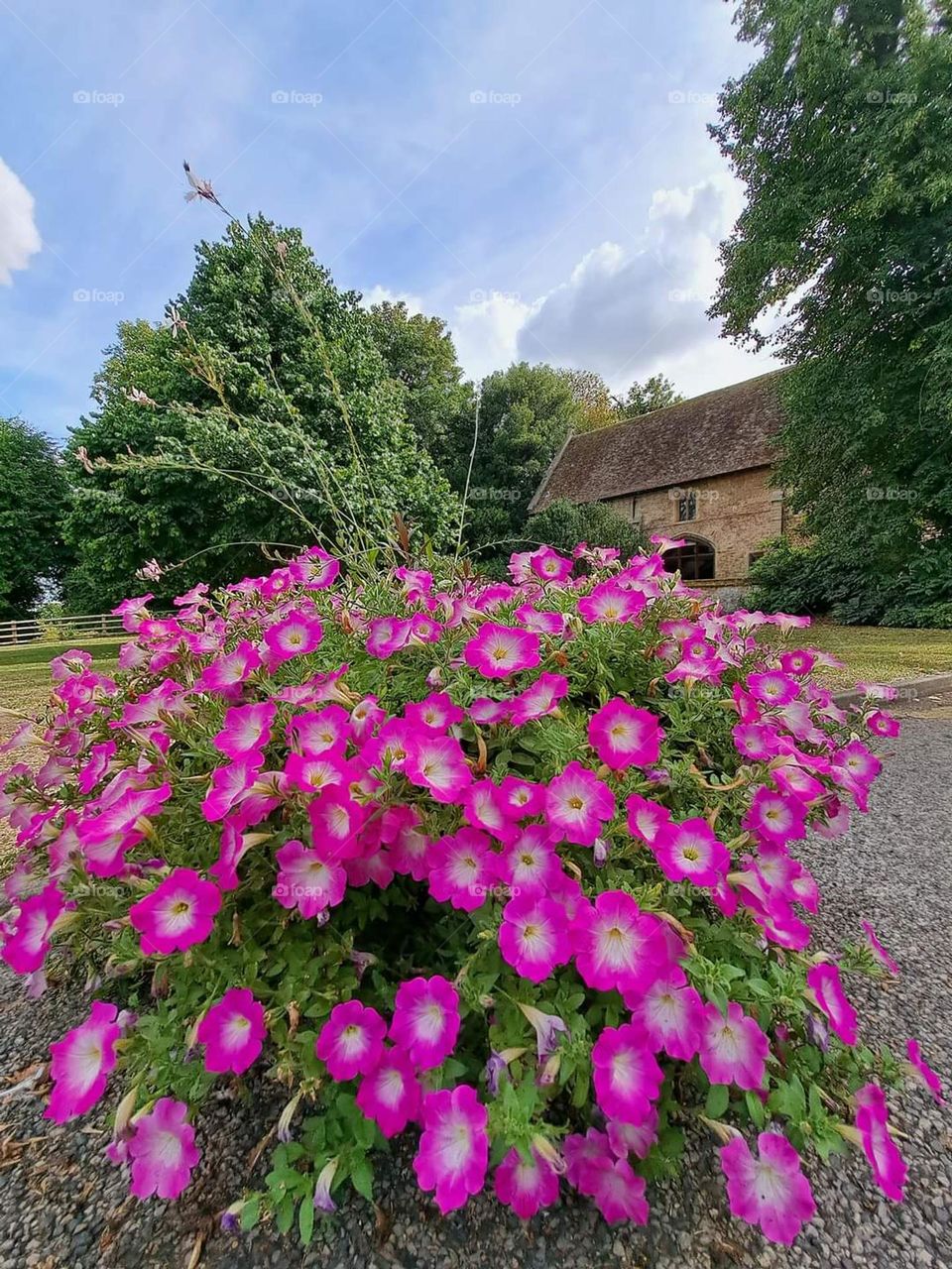 Full bloom of gorgeous and natural bouquet