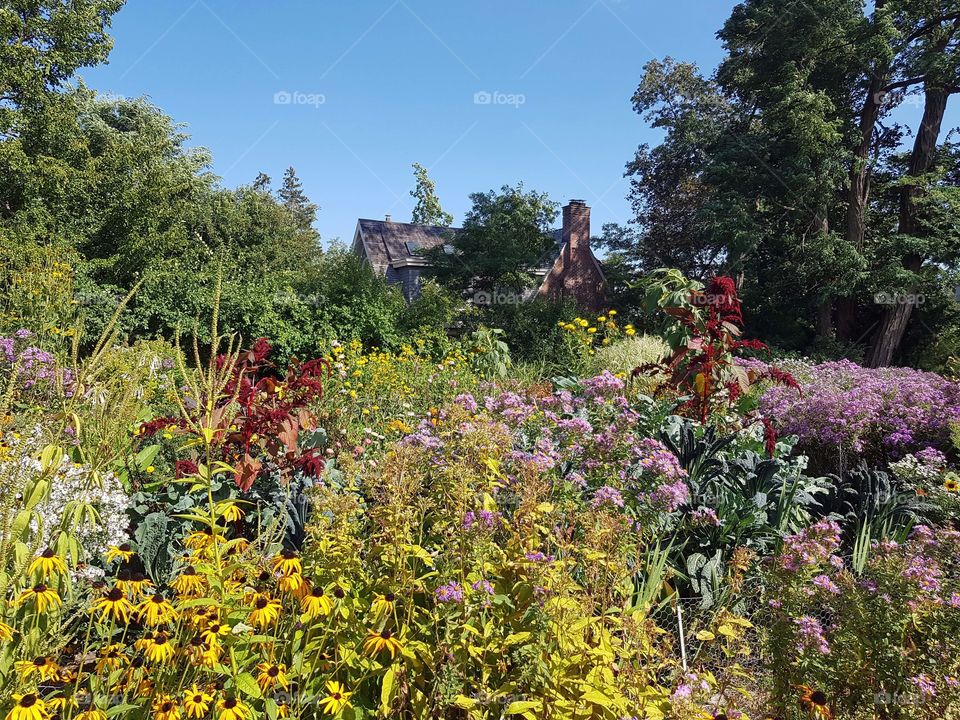 Herbal garden in fall