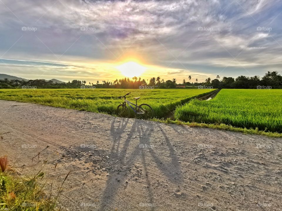 Shadow come with sun