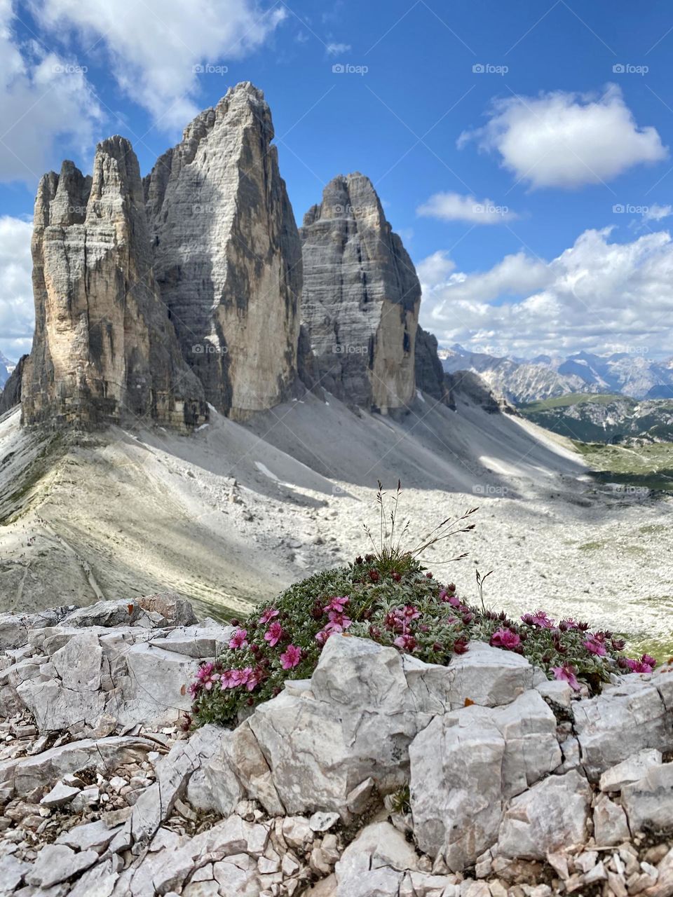 Tre Cime, Italy, Dolomite’s . Stunning view with mountains and wild flowers 🌸