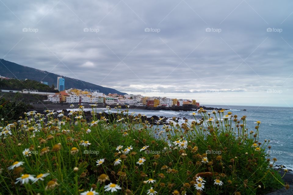 Playa Jardín, Puerto De la Cruz, Tenerife 