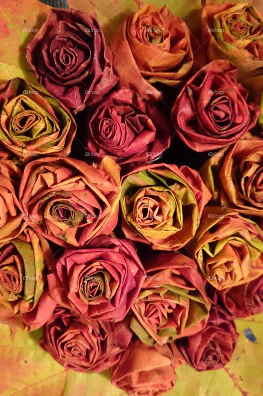 Roses made of maple leafs
