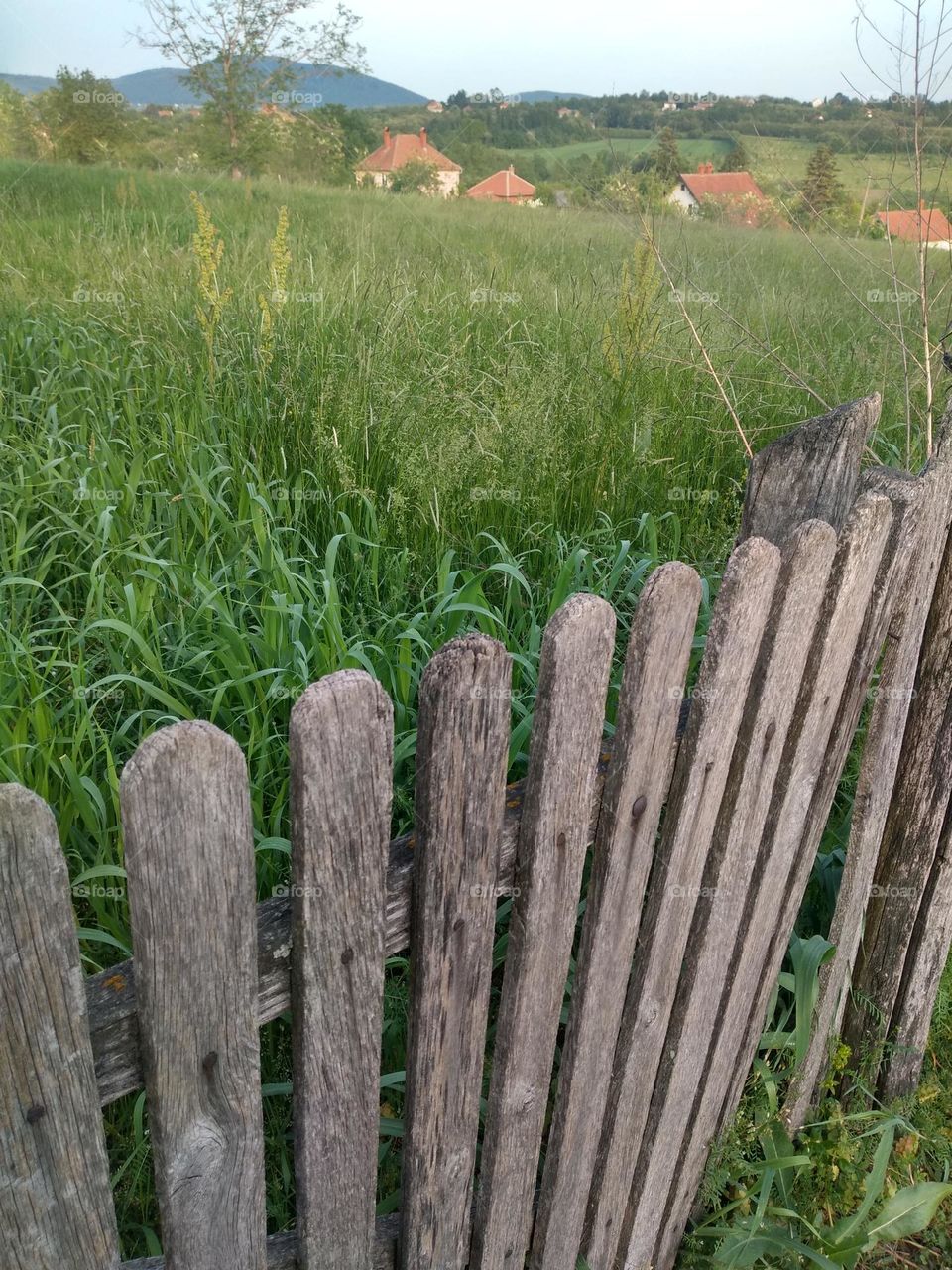 Fence