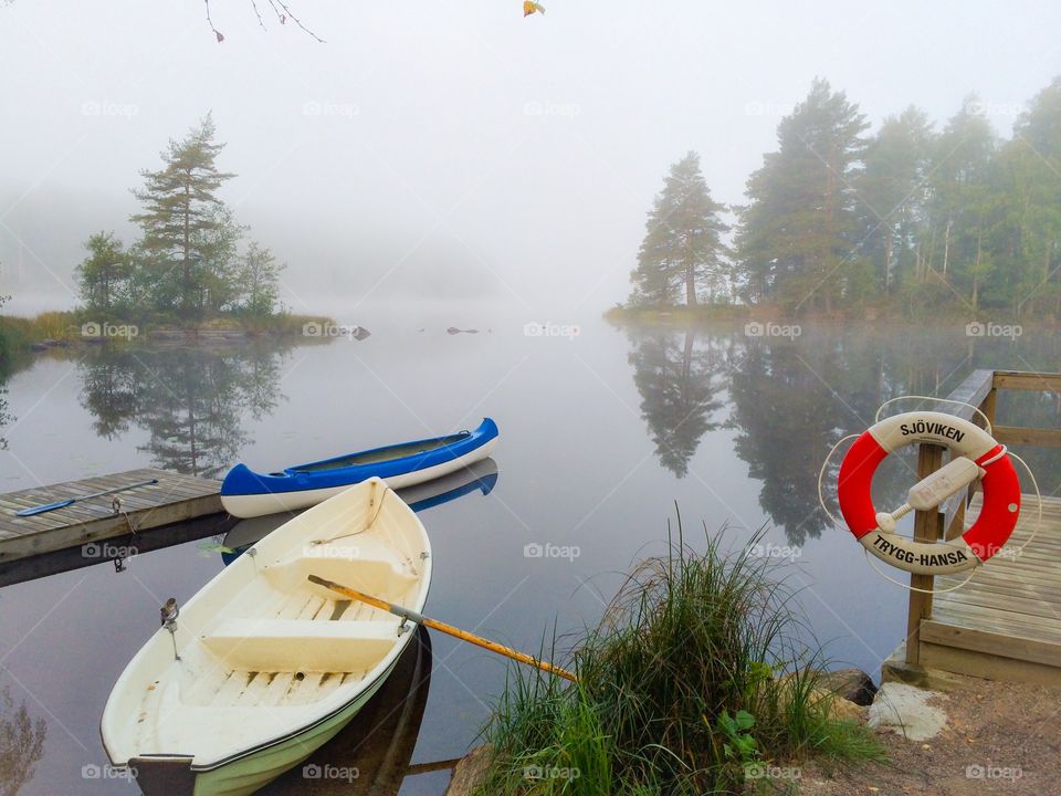 Foggy morning