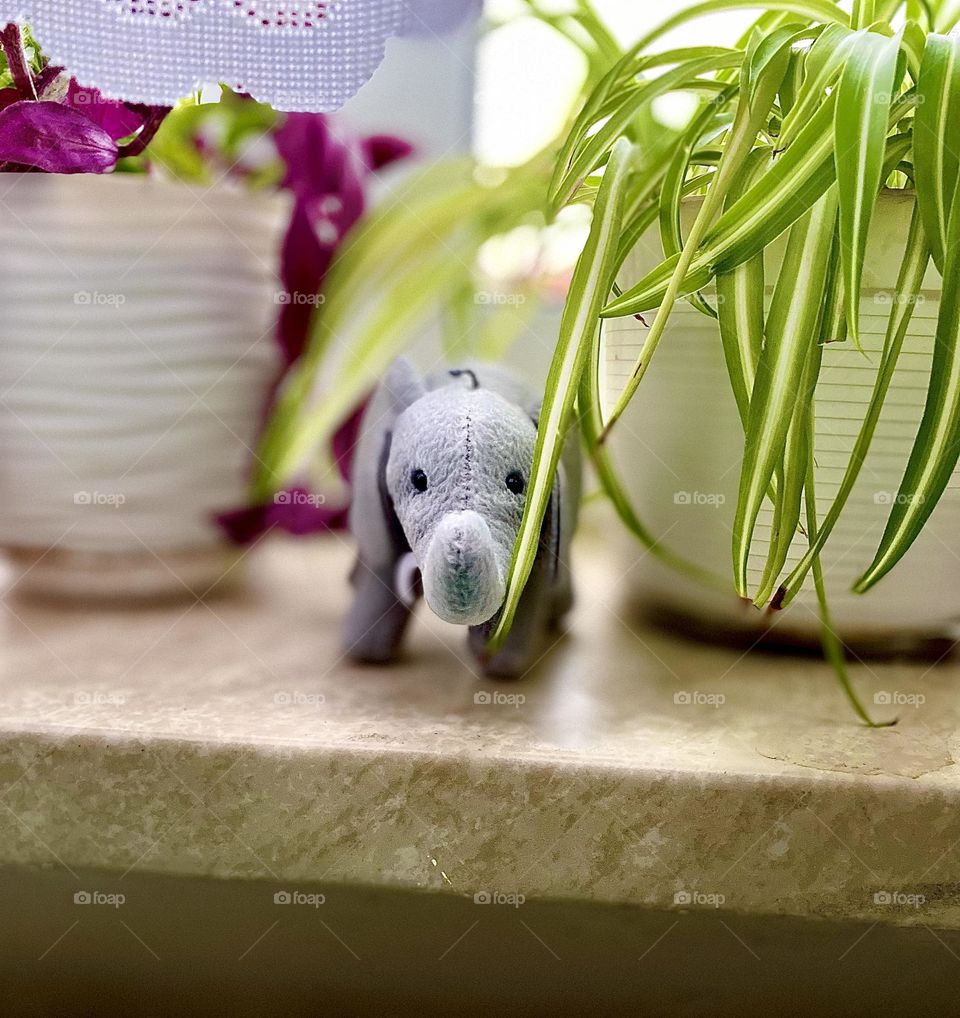 Elephant in flowers jungle