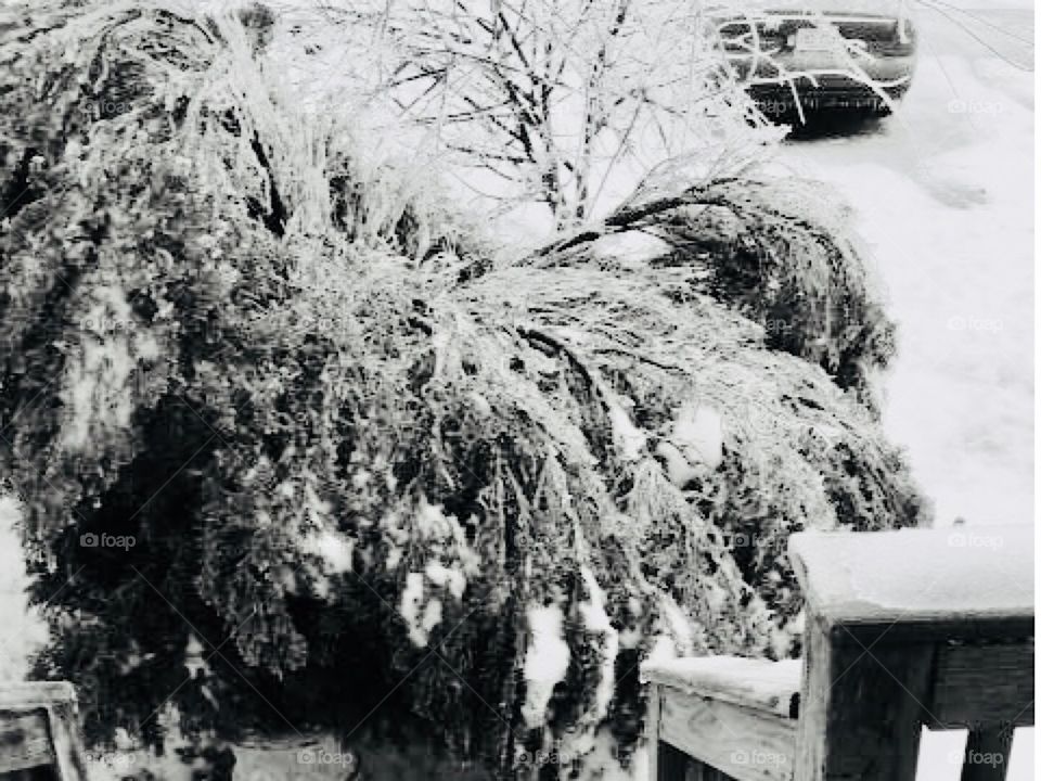 Riding the Ice Storm 