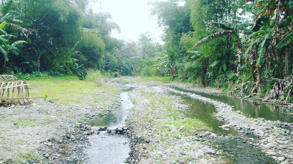 ditepian sungai karang