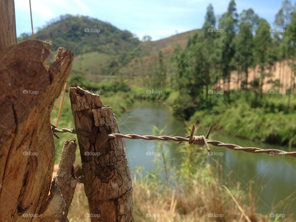 Sunny day walking into farm