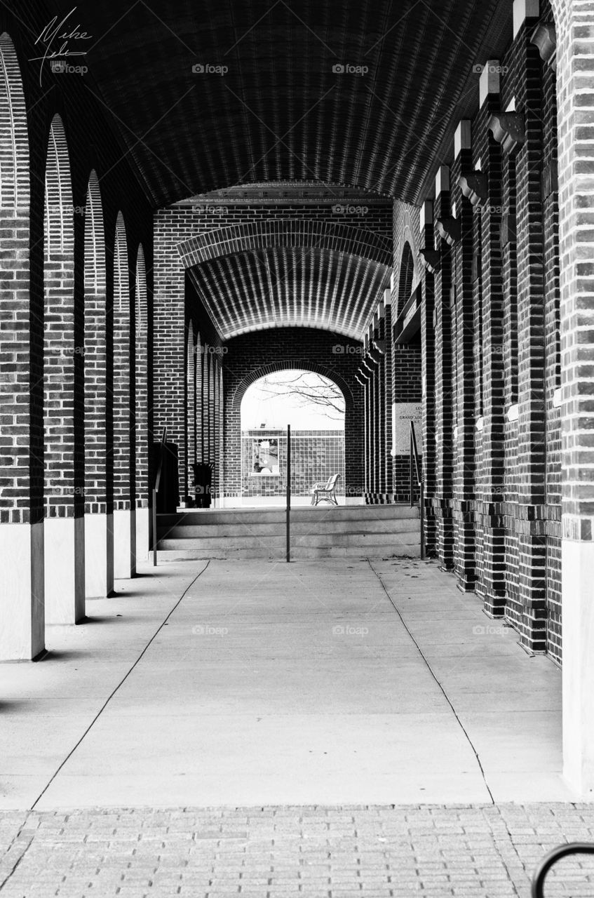 Through the Grapevine